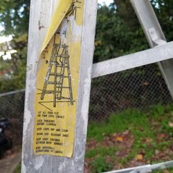 Ladder Good Condition 