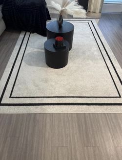 Ivory Rug 6x9
