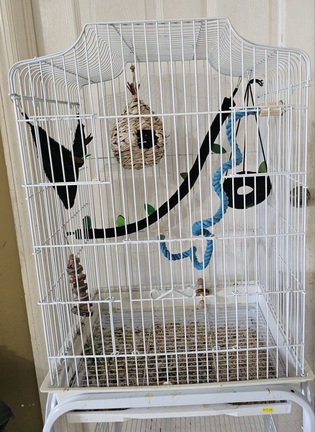 Bird Accessories And Toys
