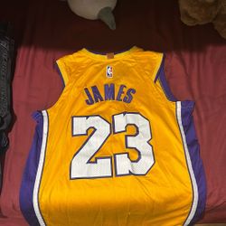 LeBron James Jersey #23