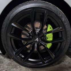 Tesla Wheels