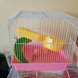 Hamster Cage 