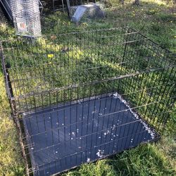 Large And Extra Large Pet Kennels