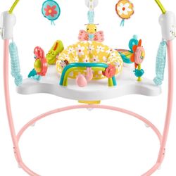 Fisher-Price Baby Bouncer