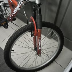 Mens Bike