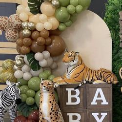 Safari Backdrops Available Book Your Day 199