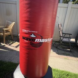 Portable Training Bag