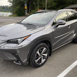 2018 Lexus NX 300