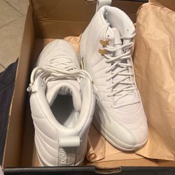Jordan 12s phantom