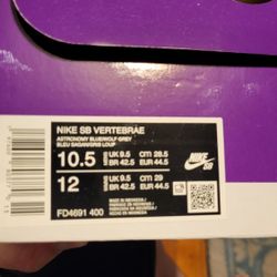 Nike SB