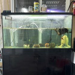 120 Gallon Fish Tank Aquarium