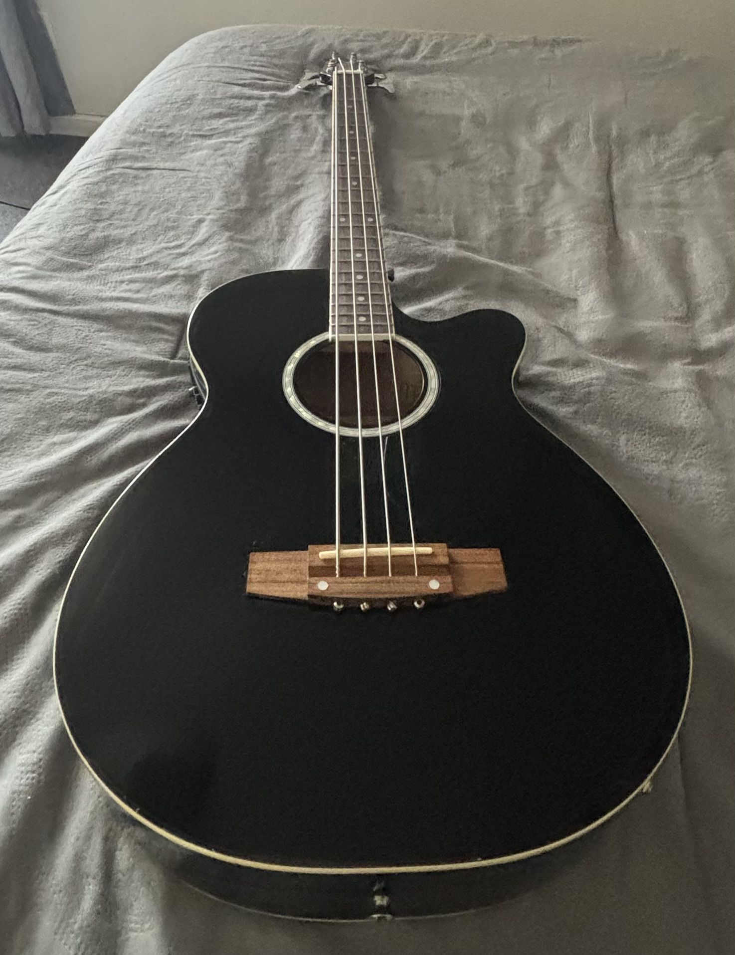 Acoustic-Electric Bass (used)