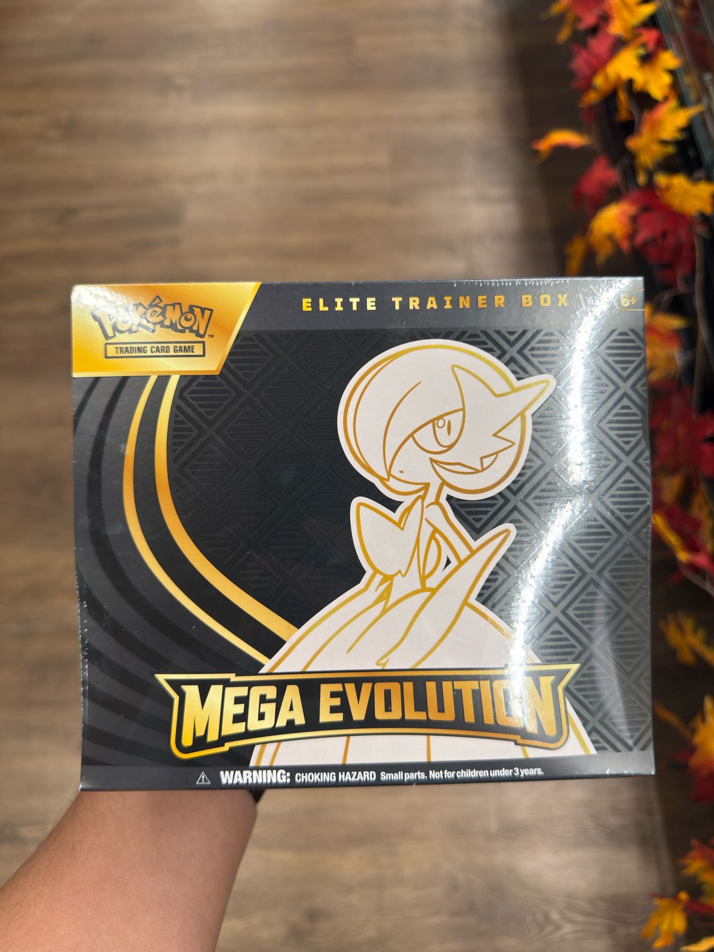Pokémon Mega Evolution Ebt 