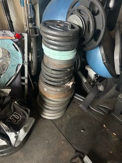 35s and 25s $1 per pound