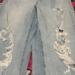 Wild Fable Jeans 