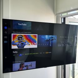 Samsung 55” TV (2024) + Wall Mount 