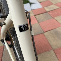 Mountain Bicycle 