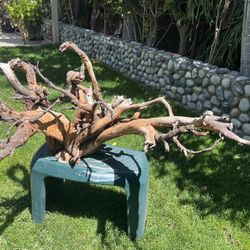 Aquascape/ reptile tank tree trunk