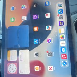 iPad Pro 11inch 3rd Generation 256GB