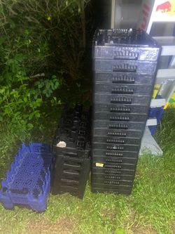 Plastic Beverage Crates Stack of 30