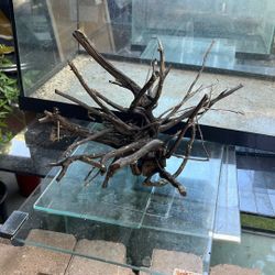 Black Spider wood 