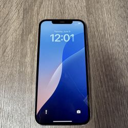 Apple iPhone 12 Pro Max 256GB AT&T Cricket H2O Consumer