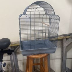 Bird Cage 