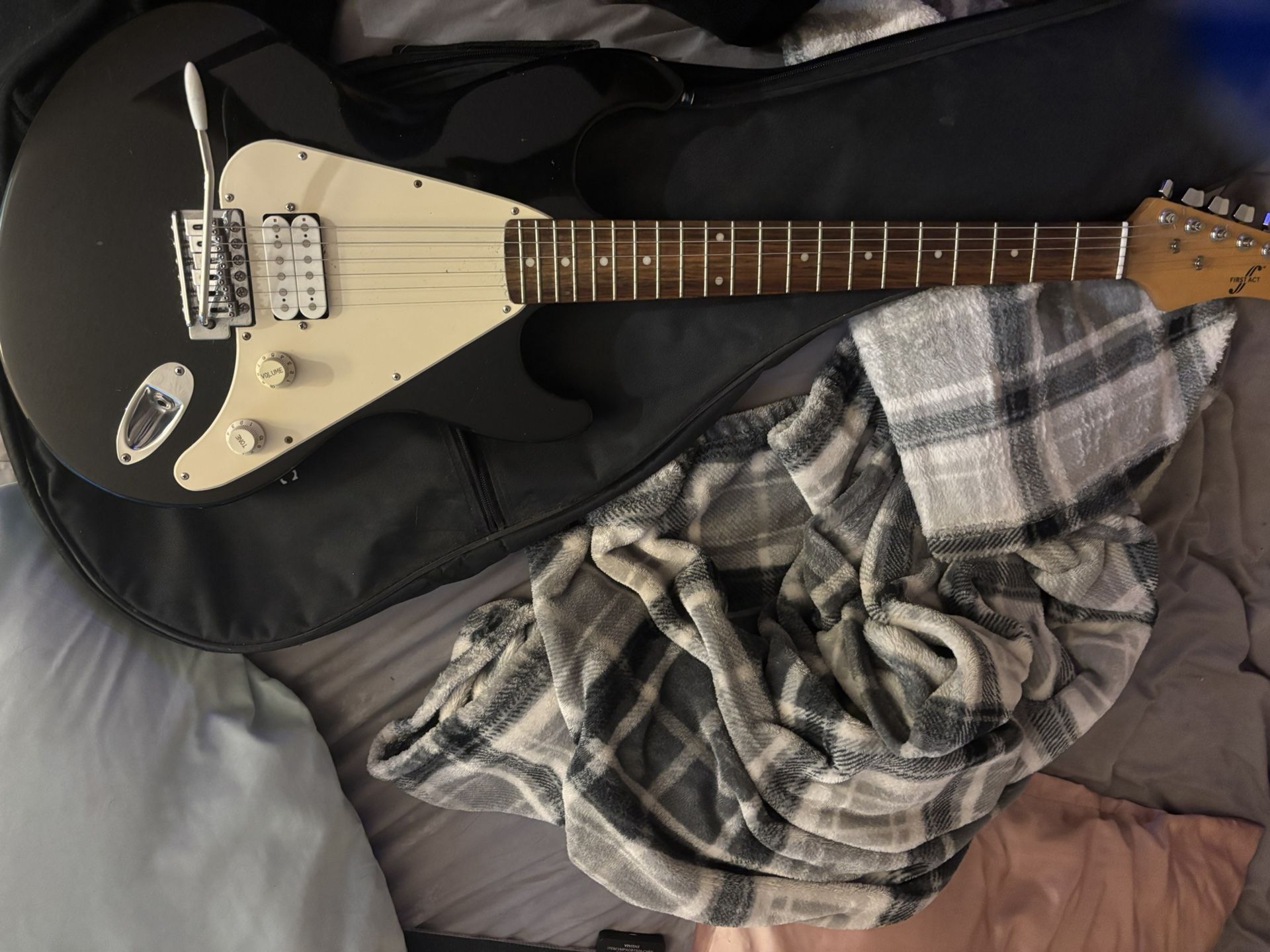 Electric Guitar With Sub Box