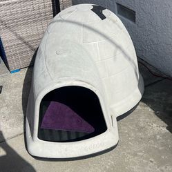 Dog House 