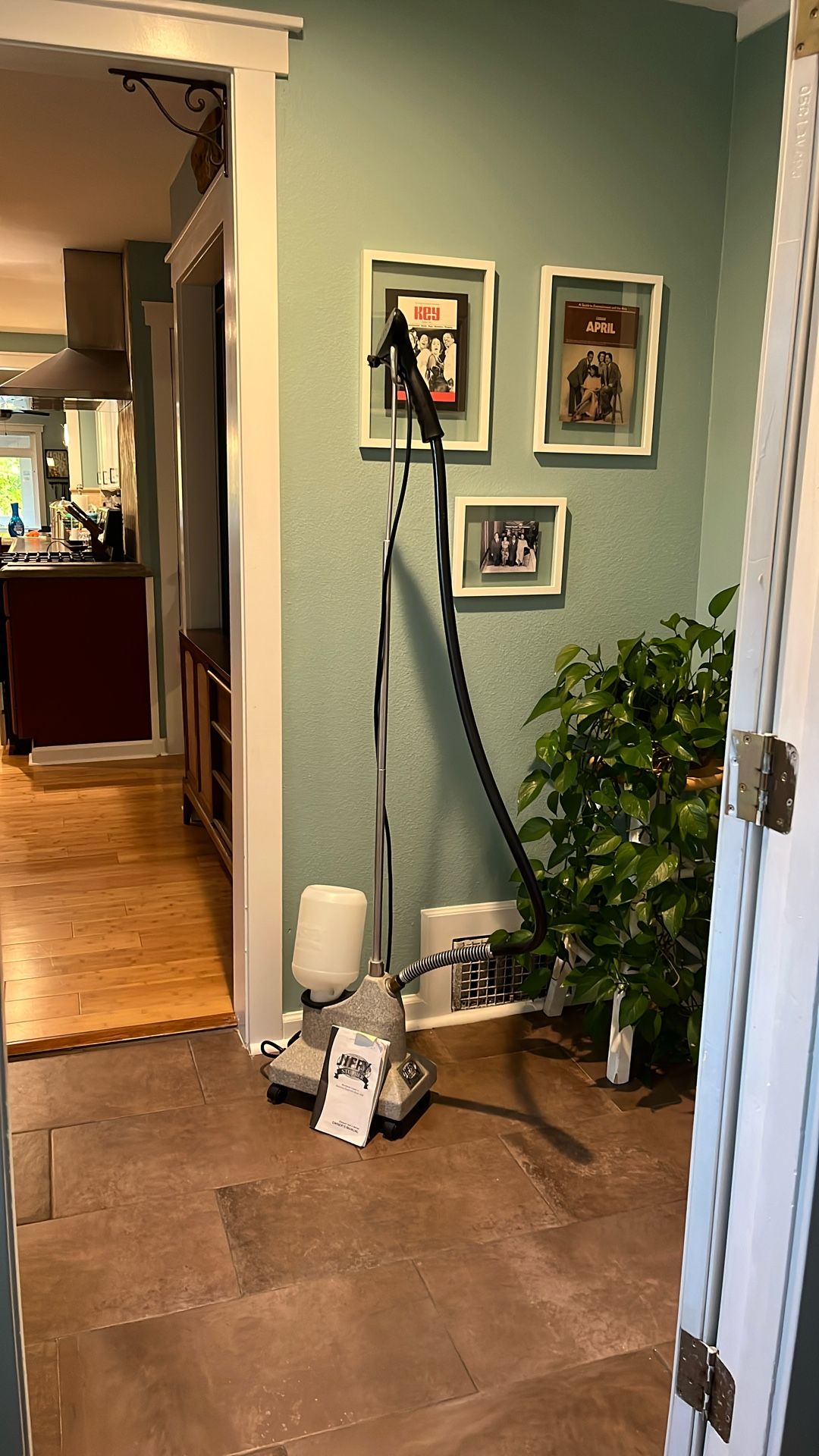 Jiffy Pro Clothing Steamer J2000 120 V 1300 W