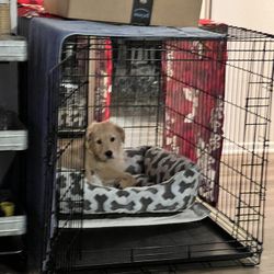*****Large Dog Crate 