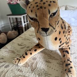 Large Cheetah 