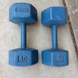 Ivanko Dumbbell Set of 40 Pounds 
