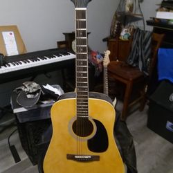 Acoustic Guitar 
