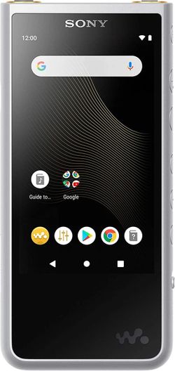 SONY NW-ZX507 ZX Series Walkman 64 GB