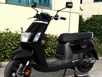 800w 48v Electric Moped Scooter With Brushless Motor