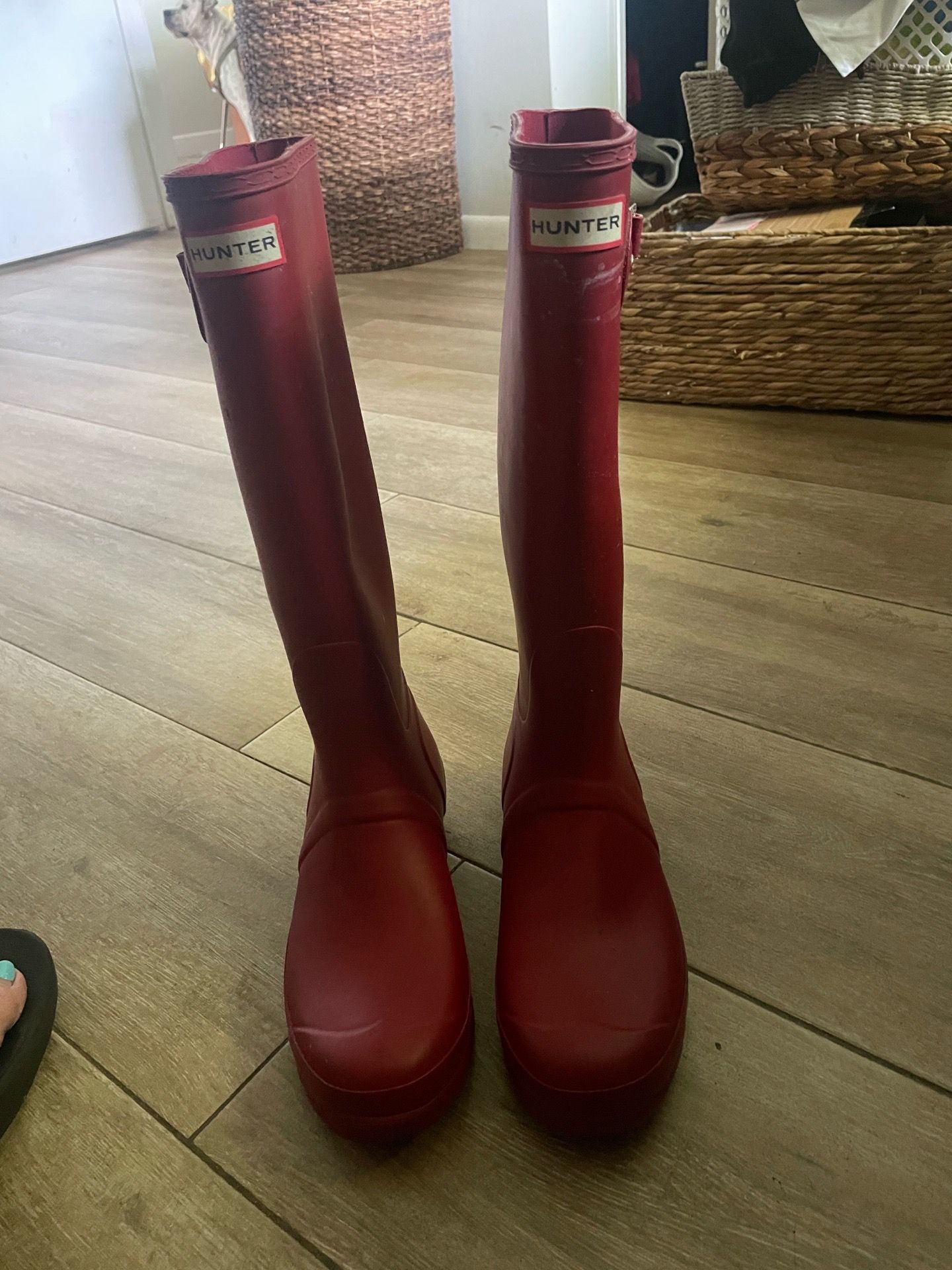 hunter rain boots