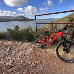 Stumpjumper Comp Carbon