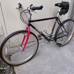 1986 Fuji Blvd XC Commuter/ATB 19