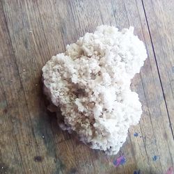 Heart Shaped Coral 