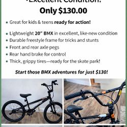 NEW GENESIS DAMAGE 20" Possible Trade For Electric Or Motorized Bicycle Or Scooter