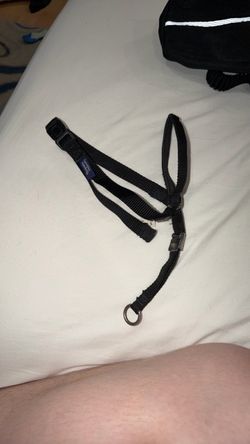 Large black gentle leader dog face collar