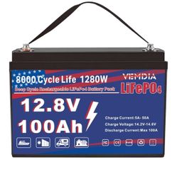 12V 100Ah LiFePO4 Battery, Built-In 120A BMS, 8000 Deep Cycles, Lightweight Lithium Iron Phosphate Battery For Home Energy, RV, Trolling Motor, Marine