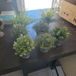 Assorted Faux Plants