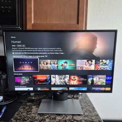 Computer Monitor (Dell; 27")