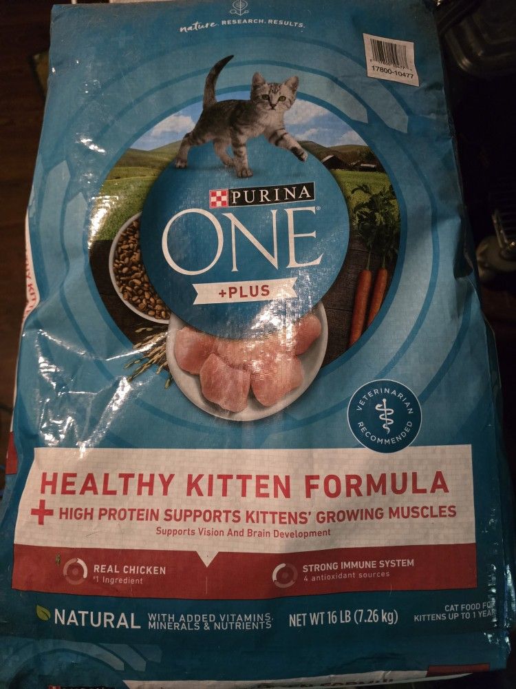 Purina One Plus Healthy Kitten Formula