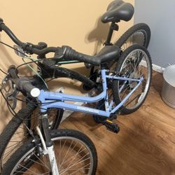 Two Bikes Price Of One 