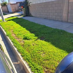 Landscape And Gardening 