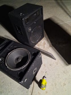 15" DJ SUBBS