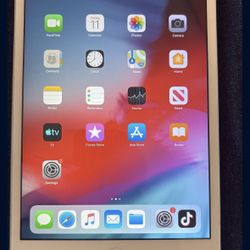 iPad 